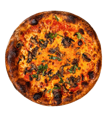 FUNGHI